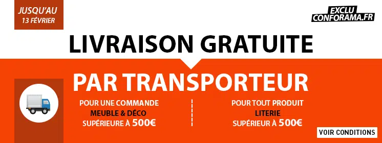 livraison gratuite