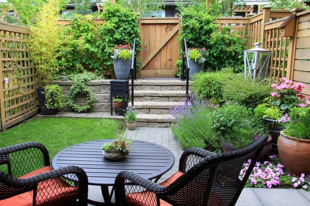 plantes pour aménager une terrasse