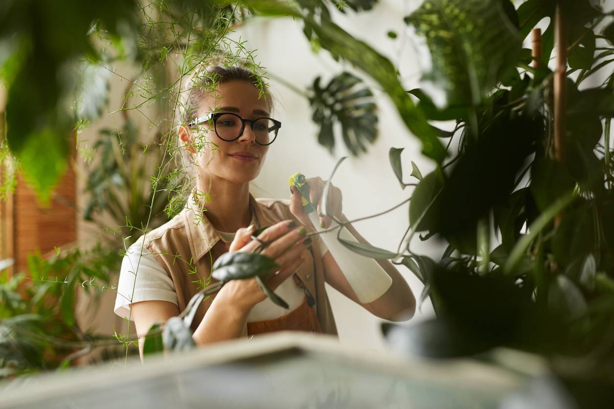 techniques de fleuriste pour conserver les fleurs