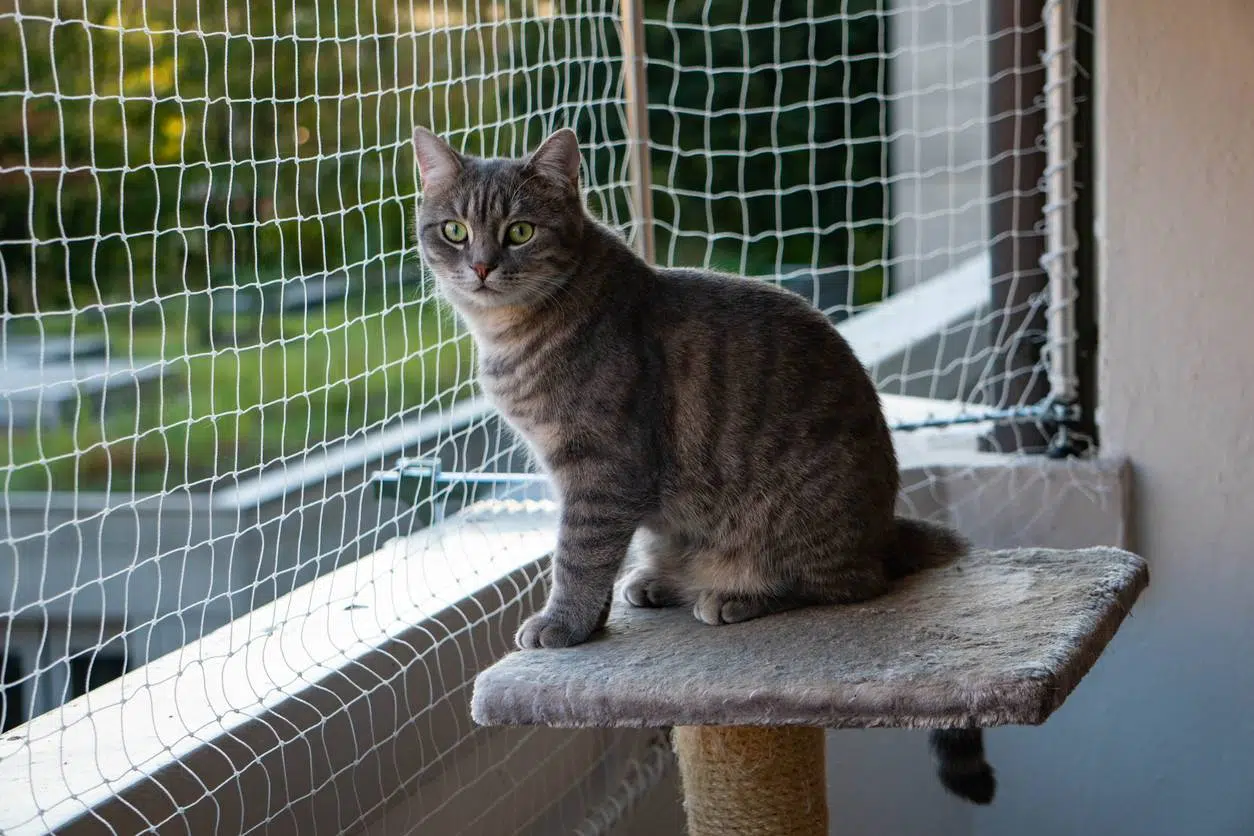 garde corps filet balcon