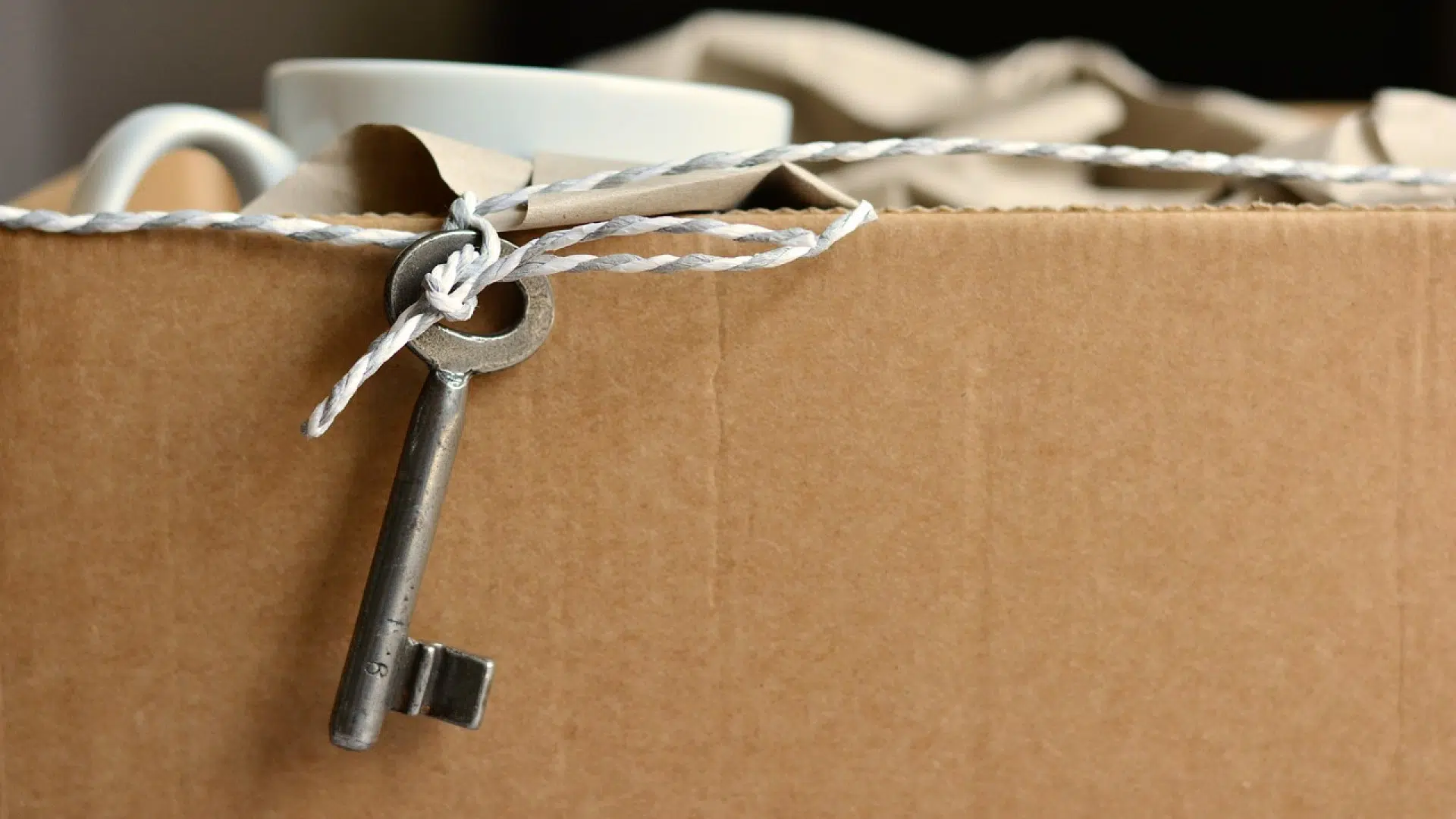 Acheter de vrais cartons pour optimiser le stockage de vos affaires