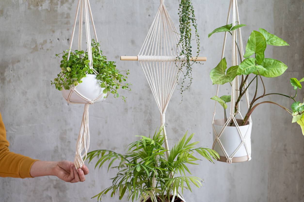 suspension macramé pour plante