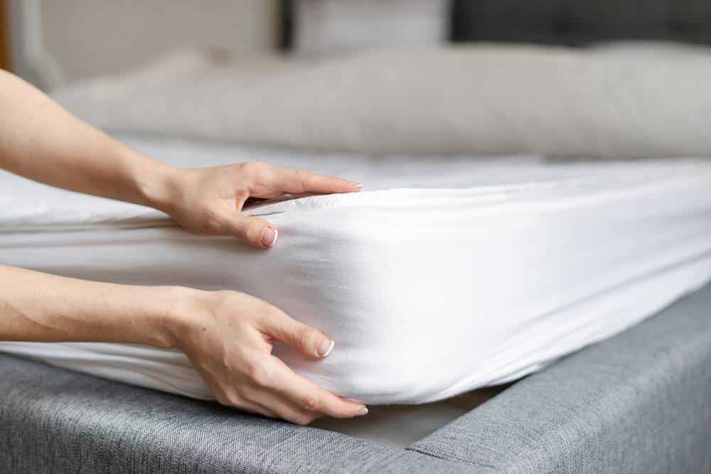 Comment désinfecter les punaises de lit chez vous