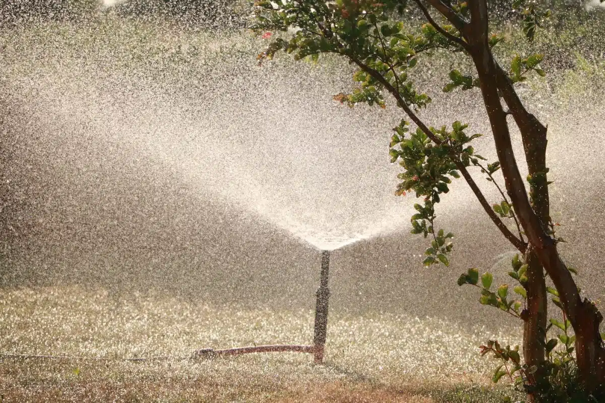 Comment bien choisir sa pompe à arrosage ? Ce qu'il faut savoir