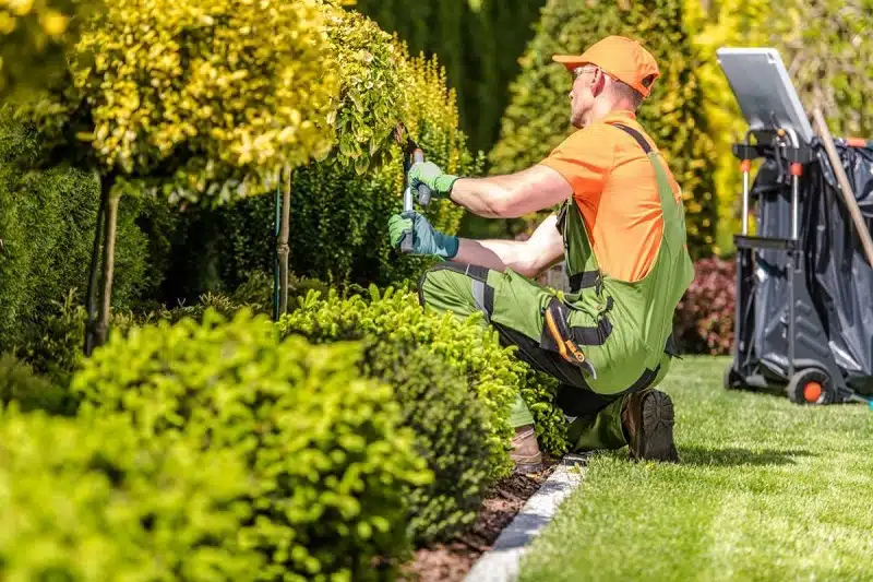 Faire appel à un paysagiste pour aménager son jardin