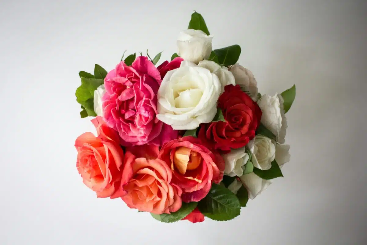 bouquet de roses