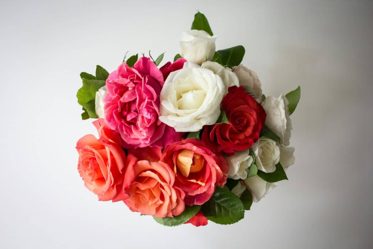 bouquet de roses