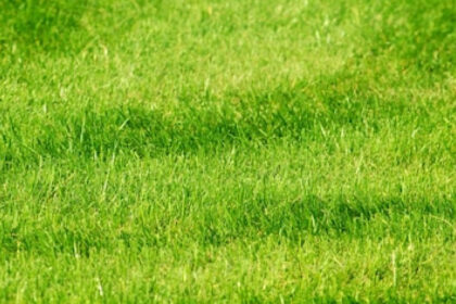 Conseils pratiques pour le choix du gazon synthétique destiné aux professionnels du paysage