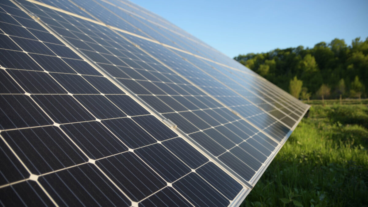 Découvrez des panneaux solaires haut de gamme pour une énergie propre et durable