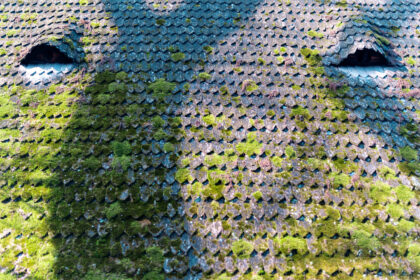 Démoussage de toiture à Dijon : pourquoi est-ce indispensable ?