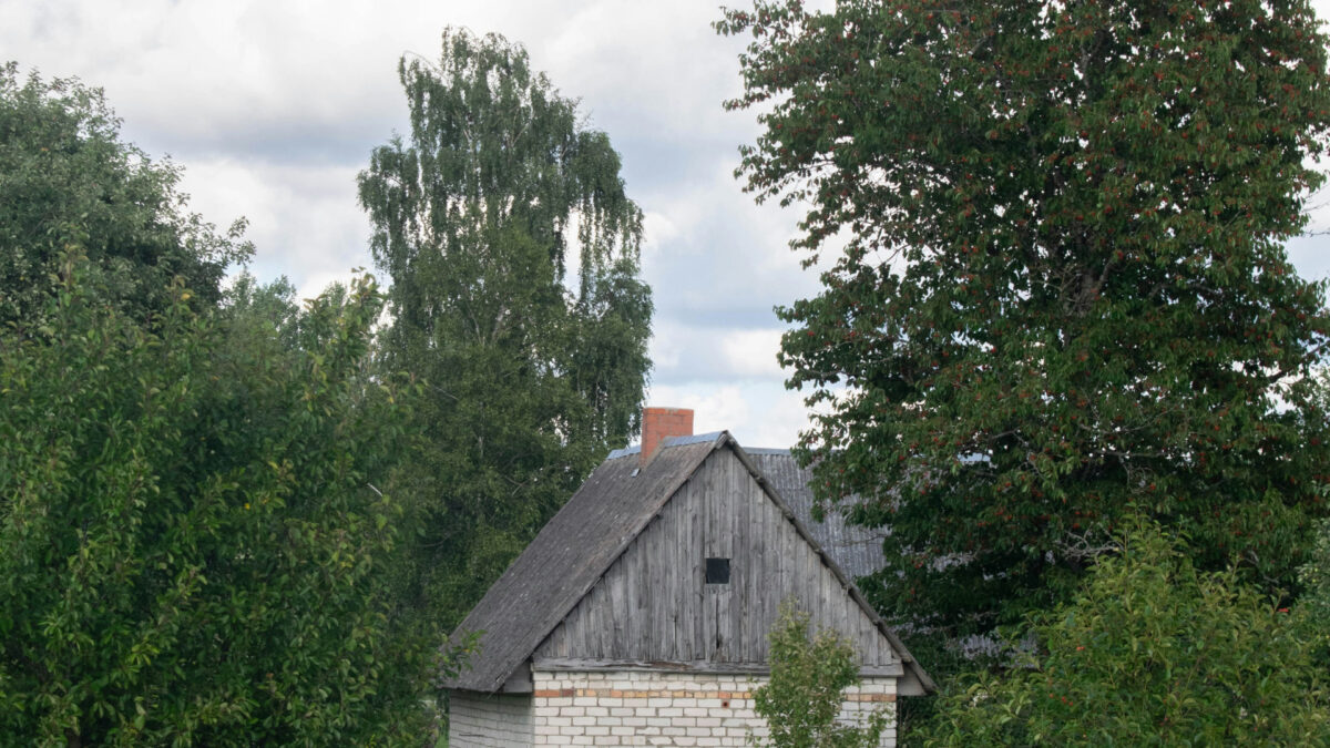 Jardin : quel type de brise-vue choisir aujourd'hui pour sa clôture ?