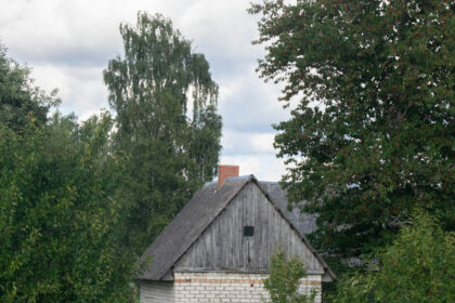 Jardin : quel type de brise-vue choisir aujourd'hui pour sa clôture ?