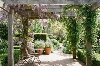 Pergola en bois couverte de wisteria et de lierre dans un jardin résidentiel, créant une ombre décorative naturelle sur des dalles en terre cuite