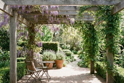 Pergola en bois couverte de wisteria et de lierre dans un jardin résidentiel, créant une ombre décorative naturelle sur des dalles en terre cuite